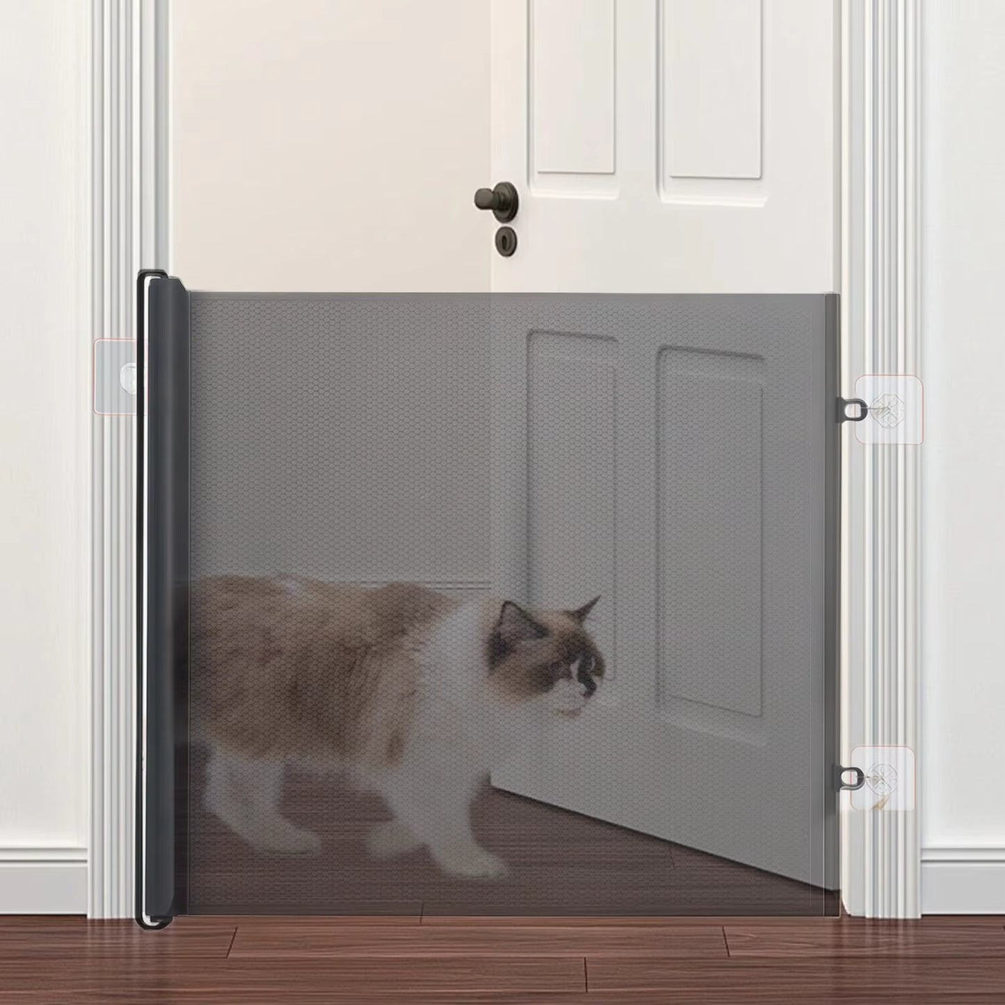 Retractable dog gate used to block a cat at a doorway while maintaining visibility through mesh