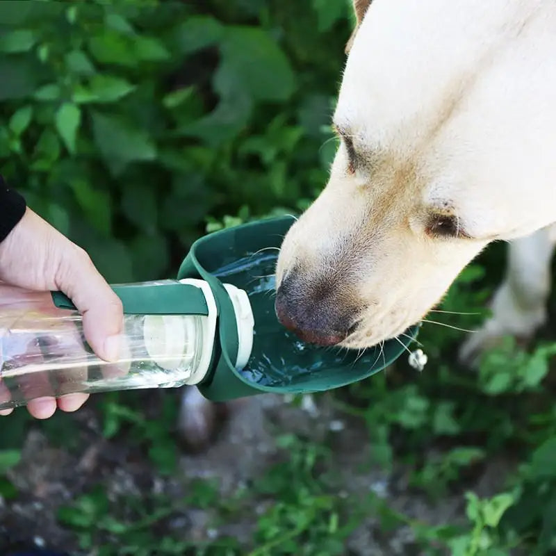 2-in-1 portable pet bottle available in vibrant colors like dark green, gray yellow, and blue pink.