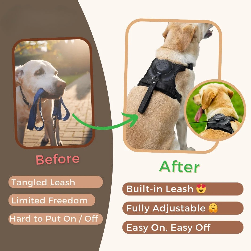 Dog wearing a lightweight and padded harness for a comfortable walking experience.