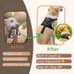 Lightweight padded dog harness for a comfortable walk