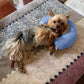Small dog lying comfortably on a soft fabric dog calming pillow at home