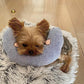 Small dog resting on a dog calming pillow made of soft fabric