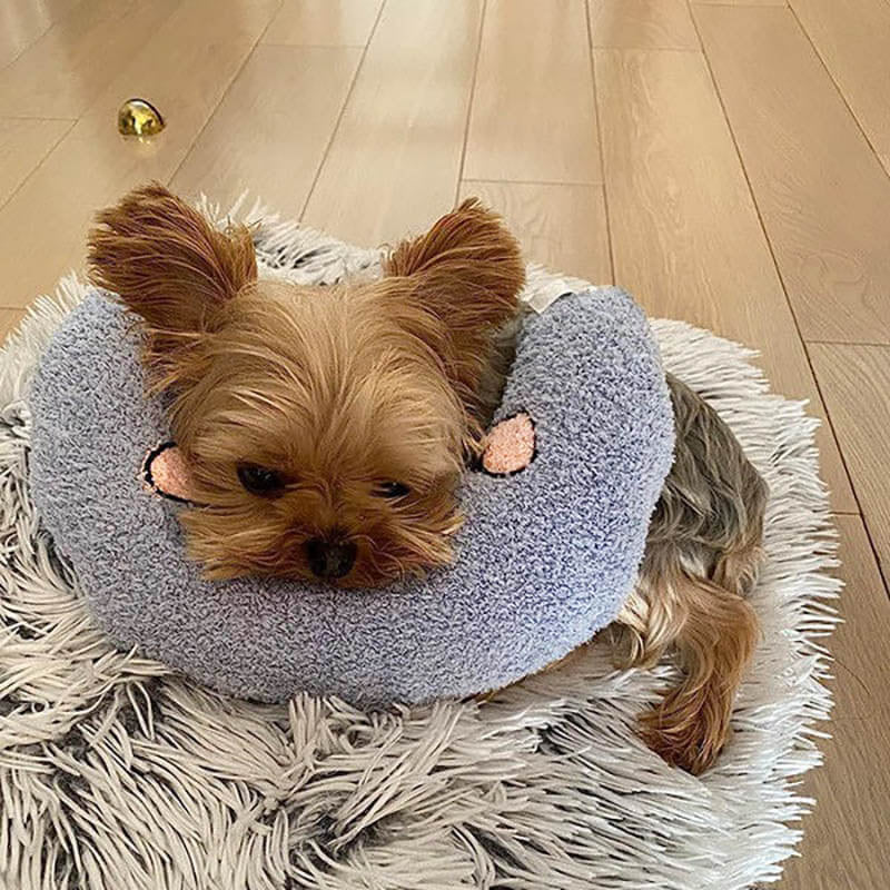 Small dog resting on a dog calming pillow made of soft fabric