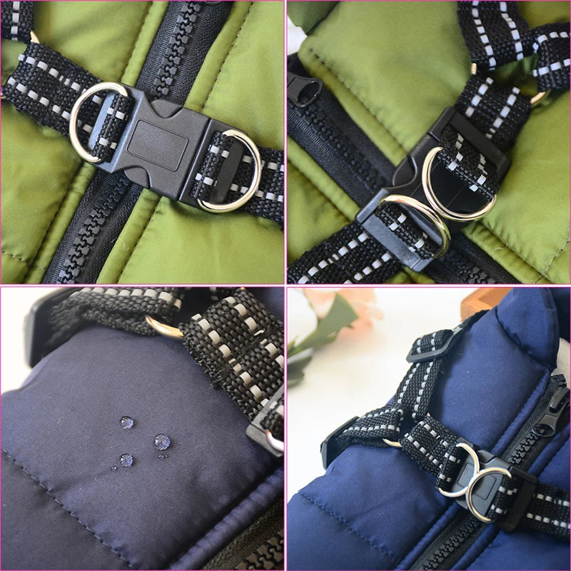 Close-up details of a dog harness jacket showing adjustable buckles, reflective straps, zip closure, and waterproof fabric surface