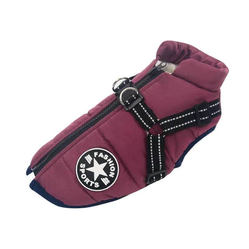 Purple dog harness jacket with adjustable reflective straps, zip closure, and integrated leash attachment