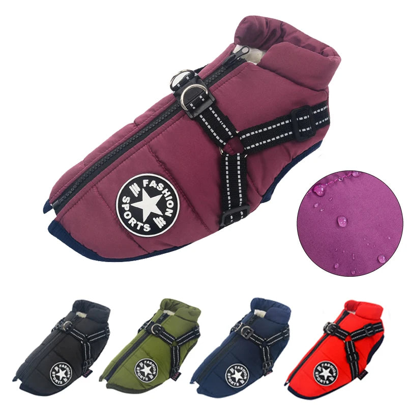 Waterproof dog harness jacket with zip closure, reflective adjustable straps, and built-in leash attachment, shown in multiple color options