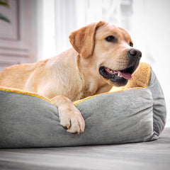 Durable and stylish dog gear including ergonomic harnesses and luxury pet beds by Robypety