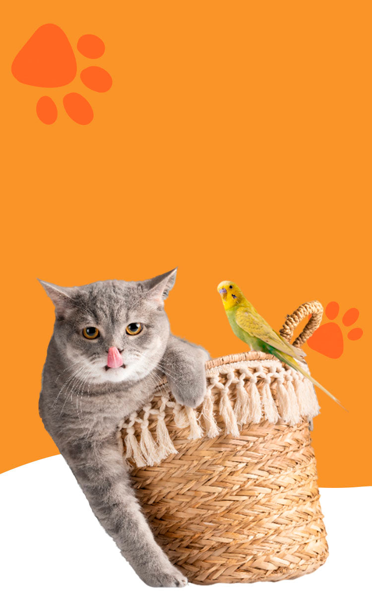 Premium Essentials for Cats, Dogs, and Small Pets