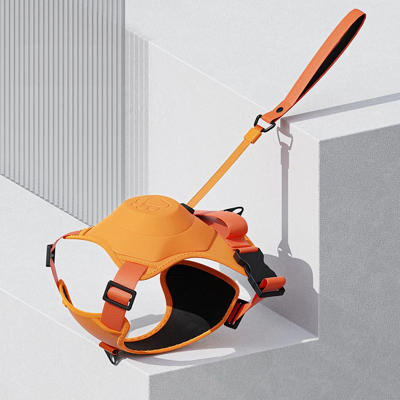 Dog harness and retractable leash designed for control and safety during city walks.