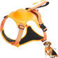 All-in-one dog harness and retractable leash set in action during a walk in the park.