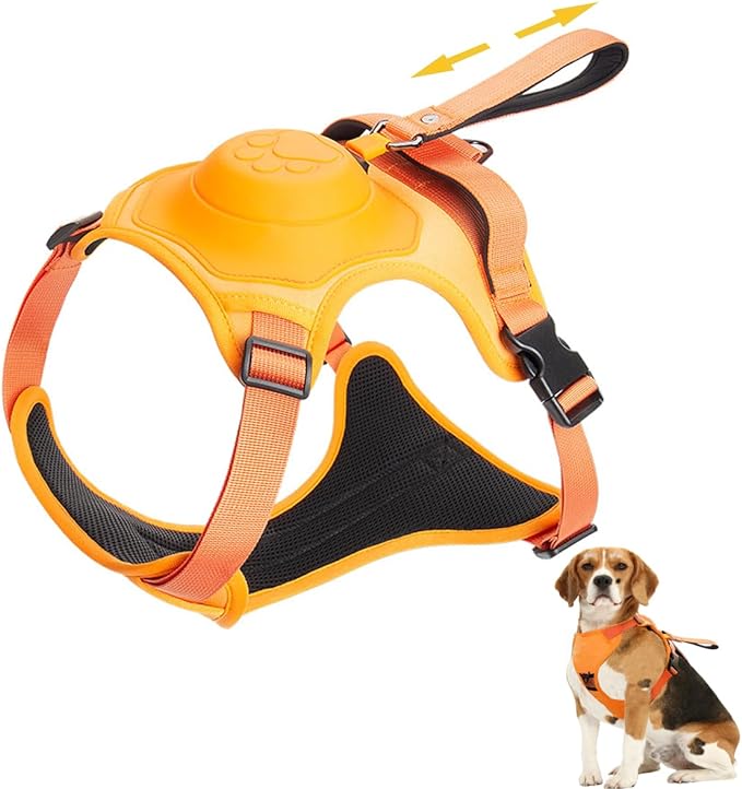 All-in-one dog harness and retractable leash set in action during a walk in the park.