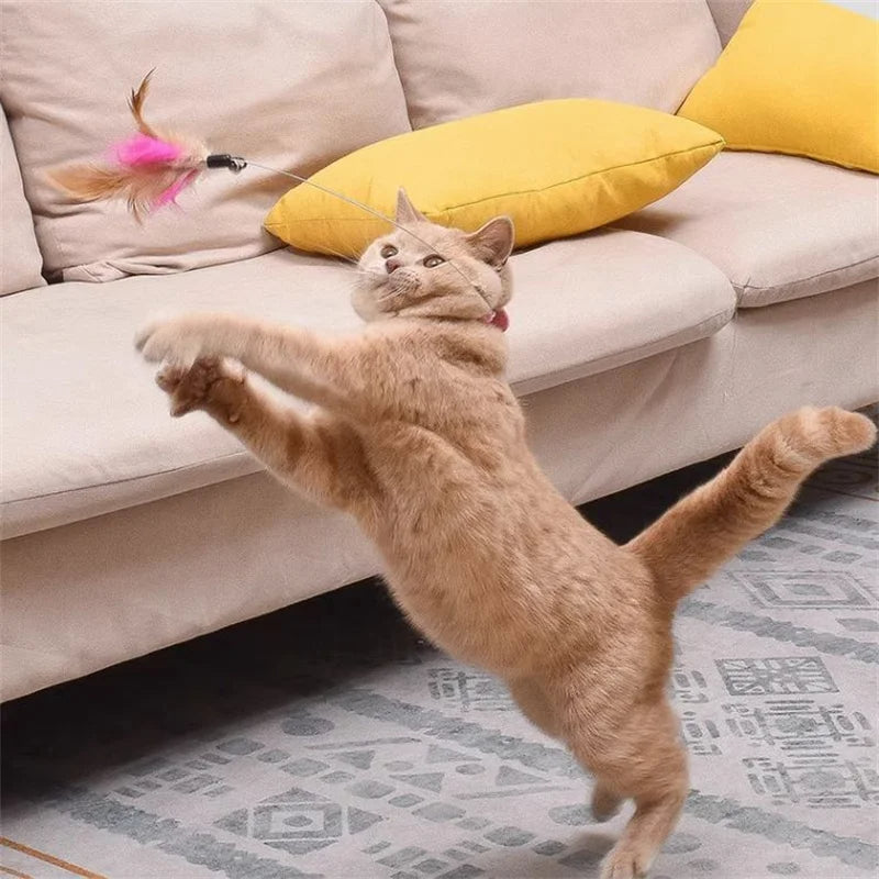 Gray cat pouncing on a flying feather teaser toy, stimulating natural hunting instincts.