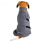 Back view of a dog wearing a super absorbent microfiber bathrobe with adjustable wrap for fast drying