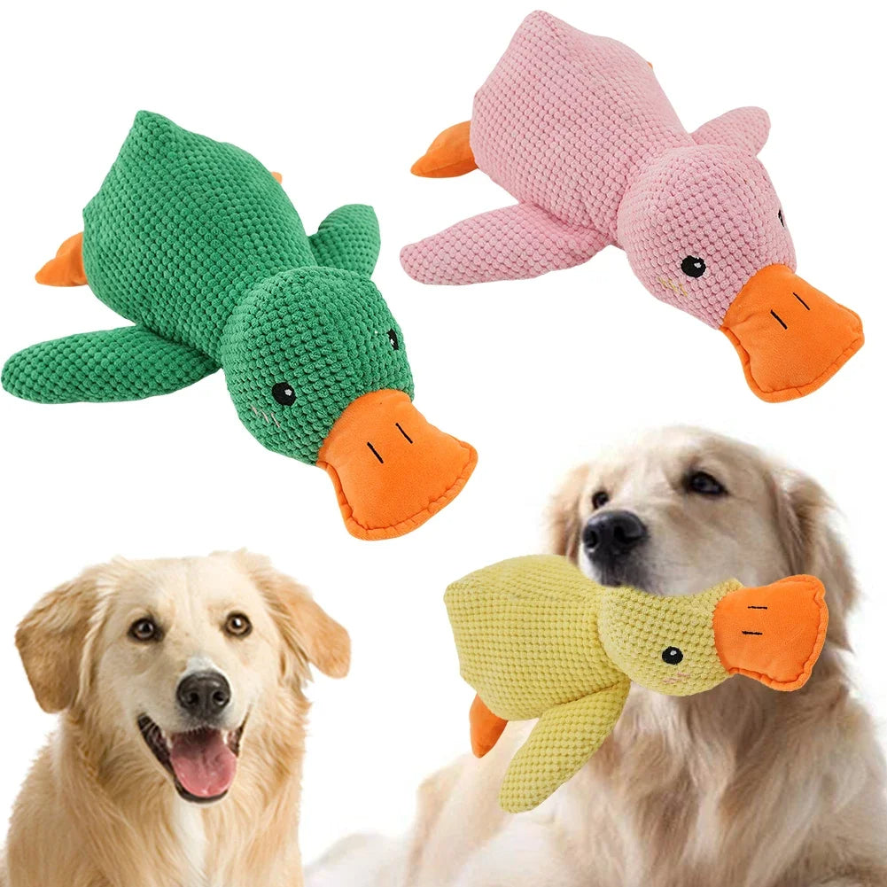 Pets playing with plush squeaky duck toys designed for interactive chewing and entertainment.