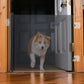 Retractable dog gate installed in a doorway, safely blocking a dog from passing through the open door