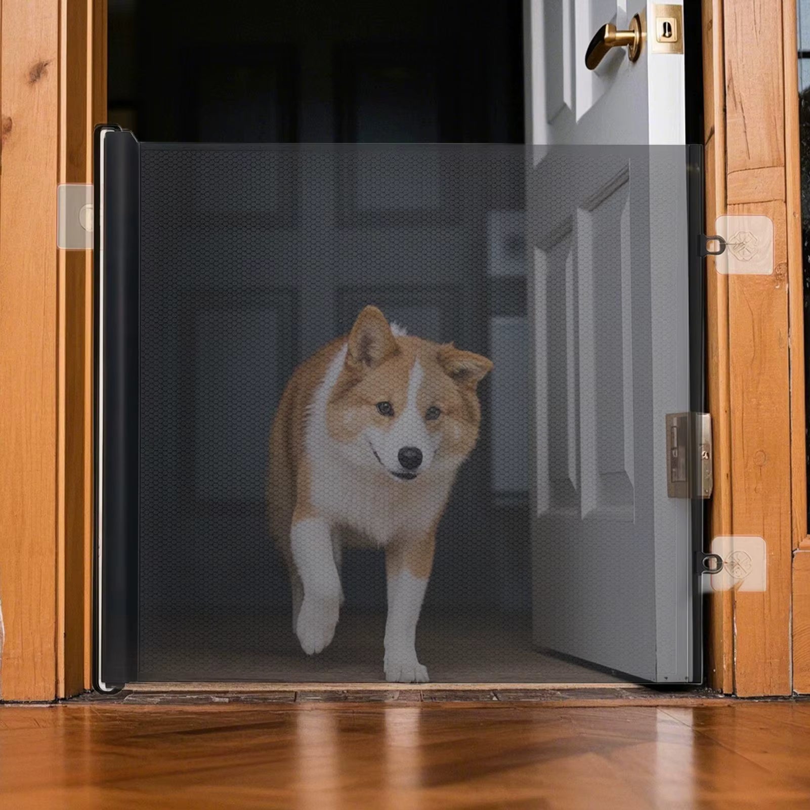 Retractable dog gate installed in a doorway, safely blocking a dog from passing through the open door