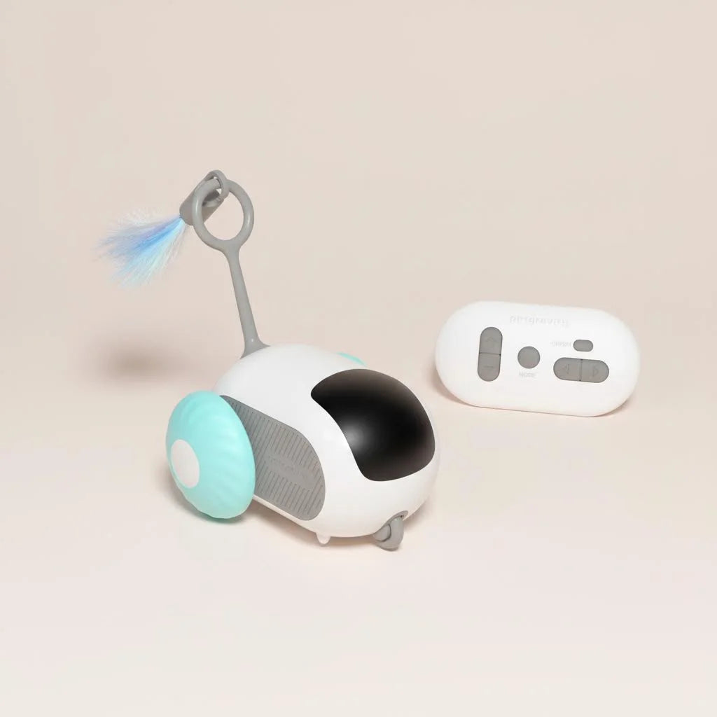 Smart interactive cat toy car in blue color with feather teaser and wireless remote control for indoor play