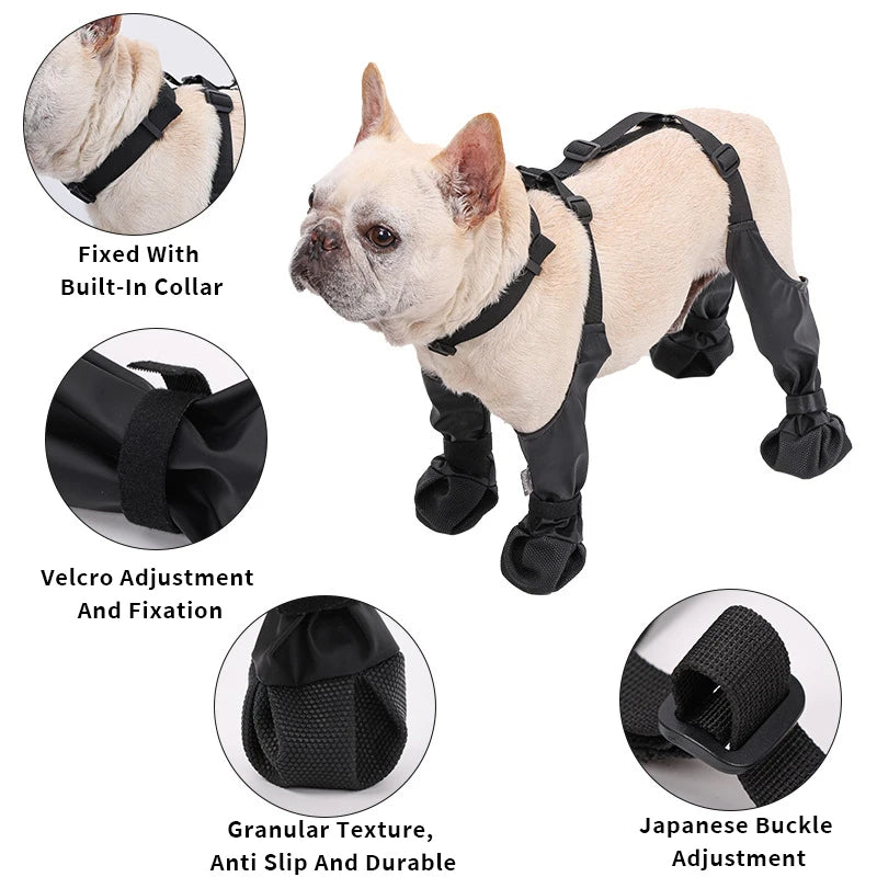Dog wearing adjustable waterproof dog boots with buckle straps, velcro fixation, and anti-slip textured soles