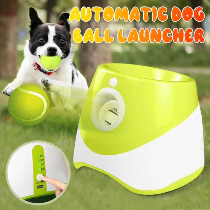 Automatic dog ball launcher machine with three mini tennis balls for fetch