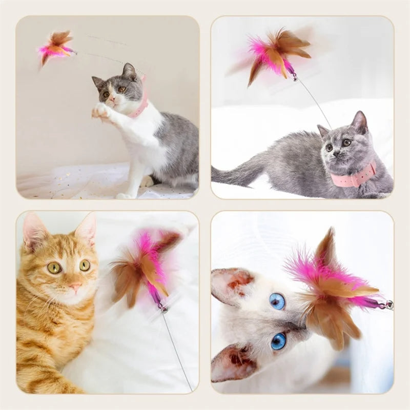 Indoor cats playing while wearing interactive feather collar teaser toy
