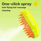 Electric cat steam brush with one-click spray function