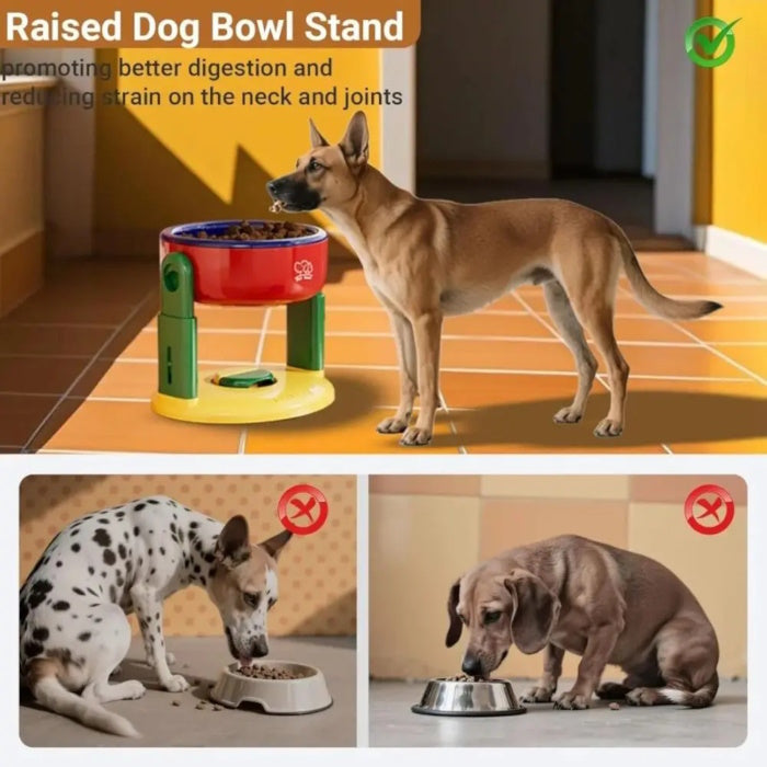 Ergonomic raised bowl vs regular bowl for better dog posture