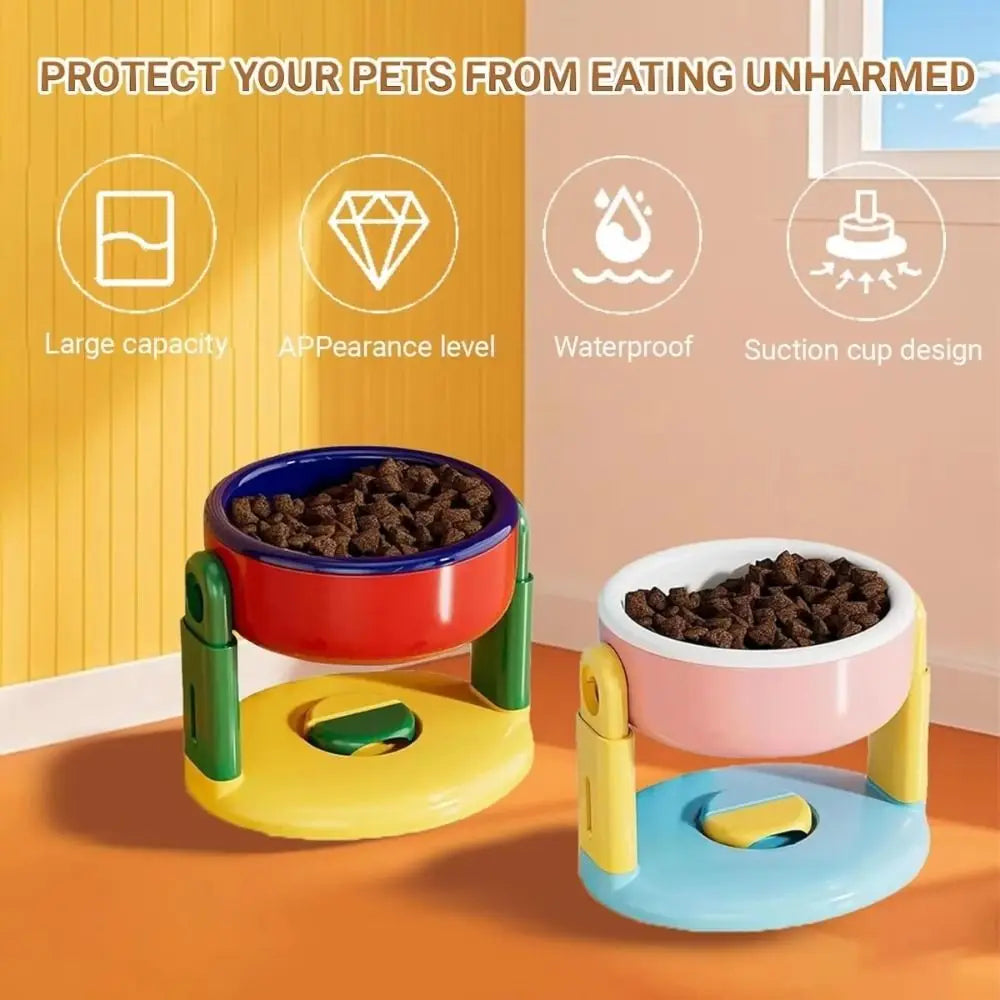 Pet bowls with colorful stands on a gradient background