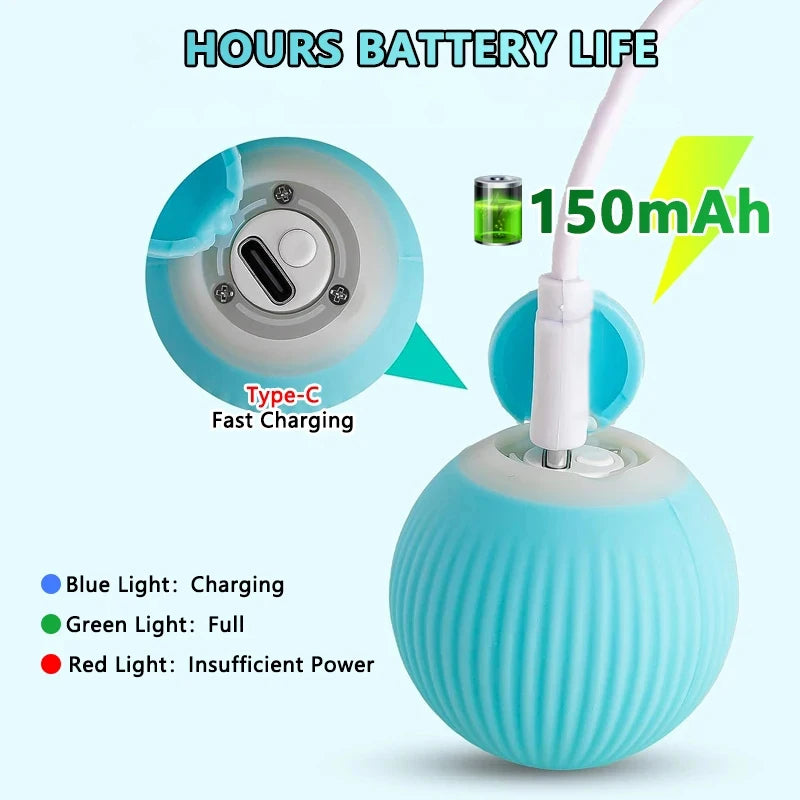 USB rechargeable smart cat ball toy by RobyPet showing Type-C charging port and battery indicator lights