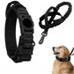 Black tactical AirTag dog collar and matching leash set with built-in AirTag holder, metal buckle, control handle, and elastic leash, shown together and worn by a dog