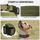 Tactical AirTag dog collar with reinforced zinc alloy buckle, soft padded lining, and built-in AirTag holder, shown close-up and worn by a dog outdoors