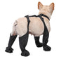 Rear view of a dog wearing waterproof adjustable dog boots with buckle straps and anti-slip soles
