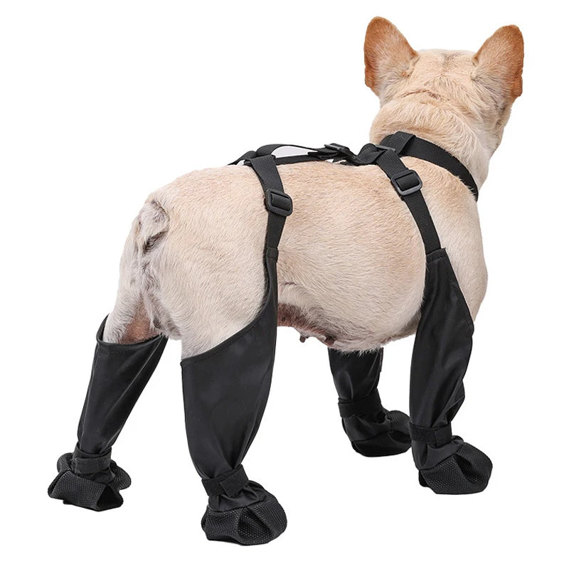 Rear view of a dog wearing waterproof adjustable dog boots with buckle straps and anti-slip soles
