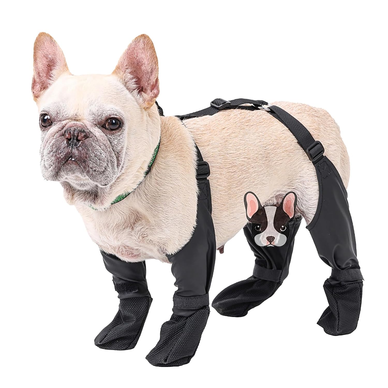 Dog wearing waterproof adjustable dog boots with non-slip soles for outdoor walks